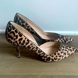 J.Crew / Calf Hair Leopard Print Pumps / Size: 12